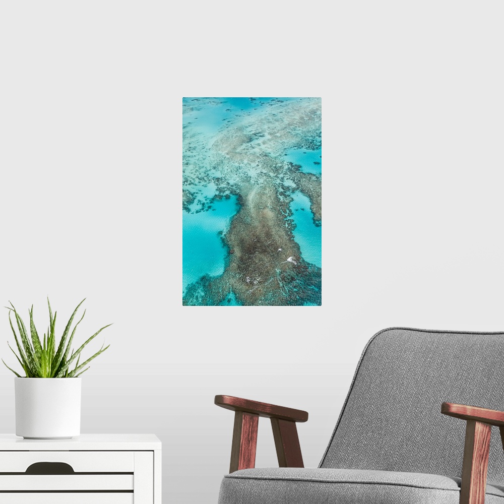 A modern room featuring The Great Barrier Reef , the largest reef system in the world.