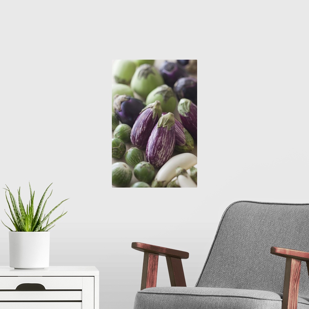 A modern room featuring Assorted Multicolored Eggplant