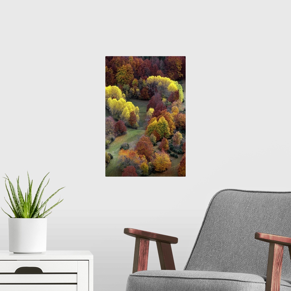 A modern room featuring Autumn colors