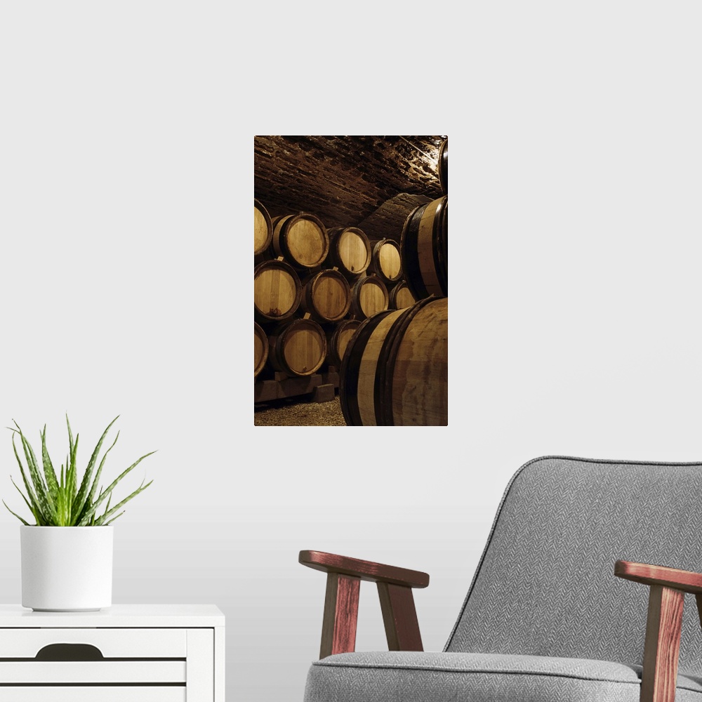 A modern room featuring Vertical, oversized photograph of wooden barrels of wine stacked against the wall of a lit wine c...