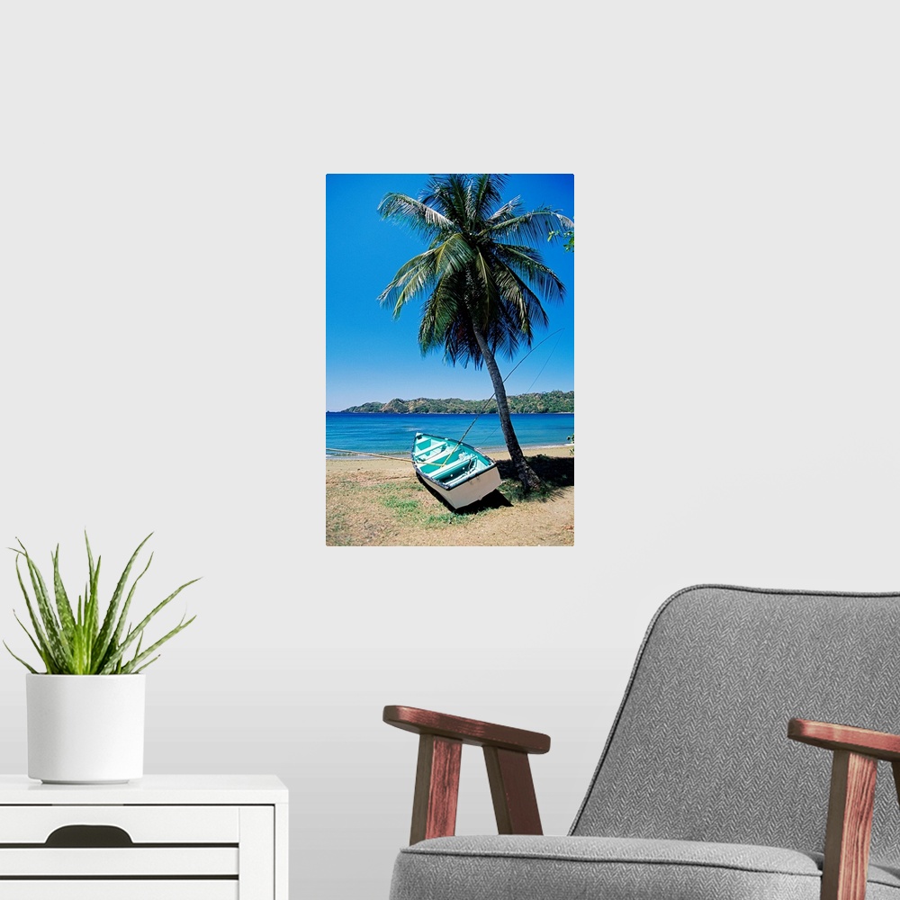 A modern room featuring Boat and palm tree, Tobago, Caribbean