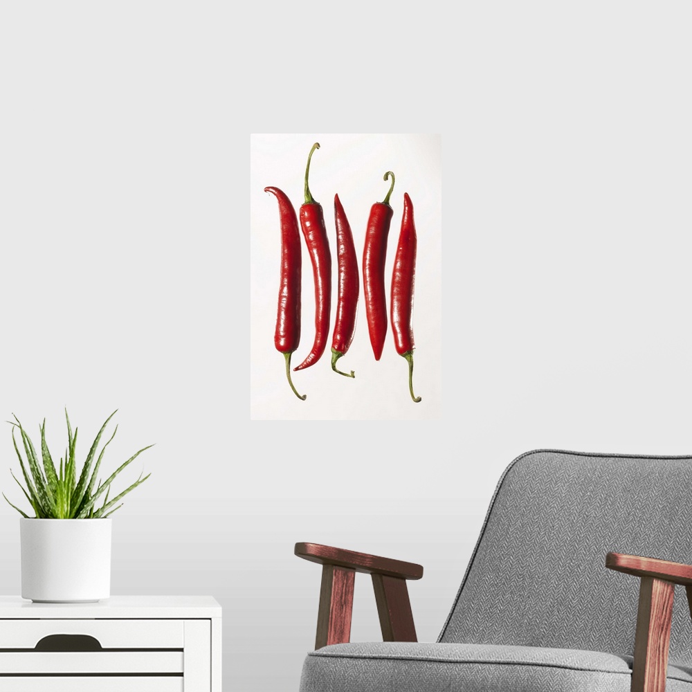 A modern room featuring Chili Peppers in a Row