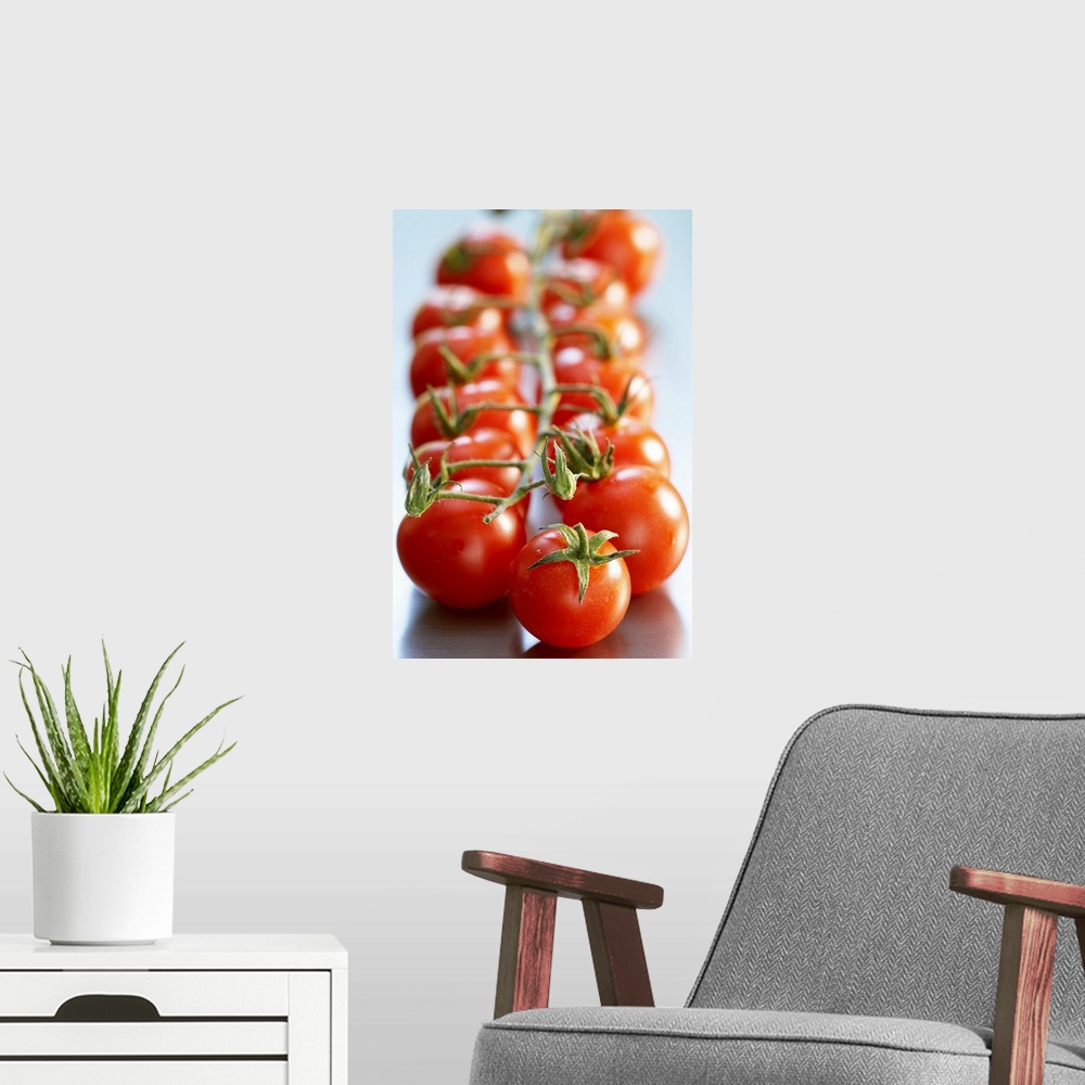 A modern room featuring Big, vertical, close up photograph of two rows of cherry tomatoes on the vine, those in the foreg...