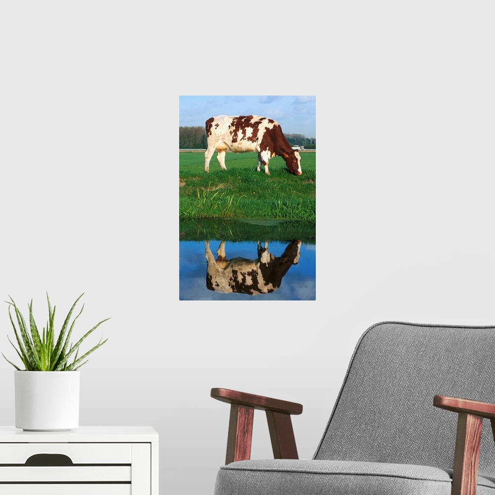 A modern room featuring Cow Grazing