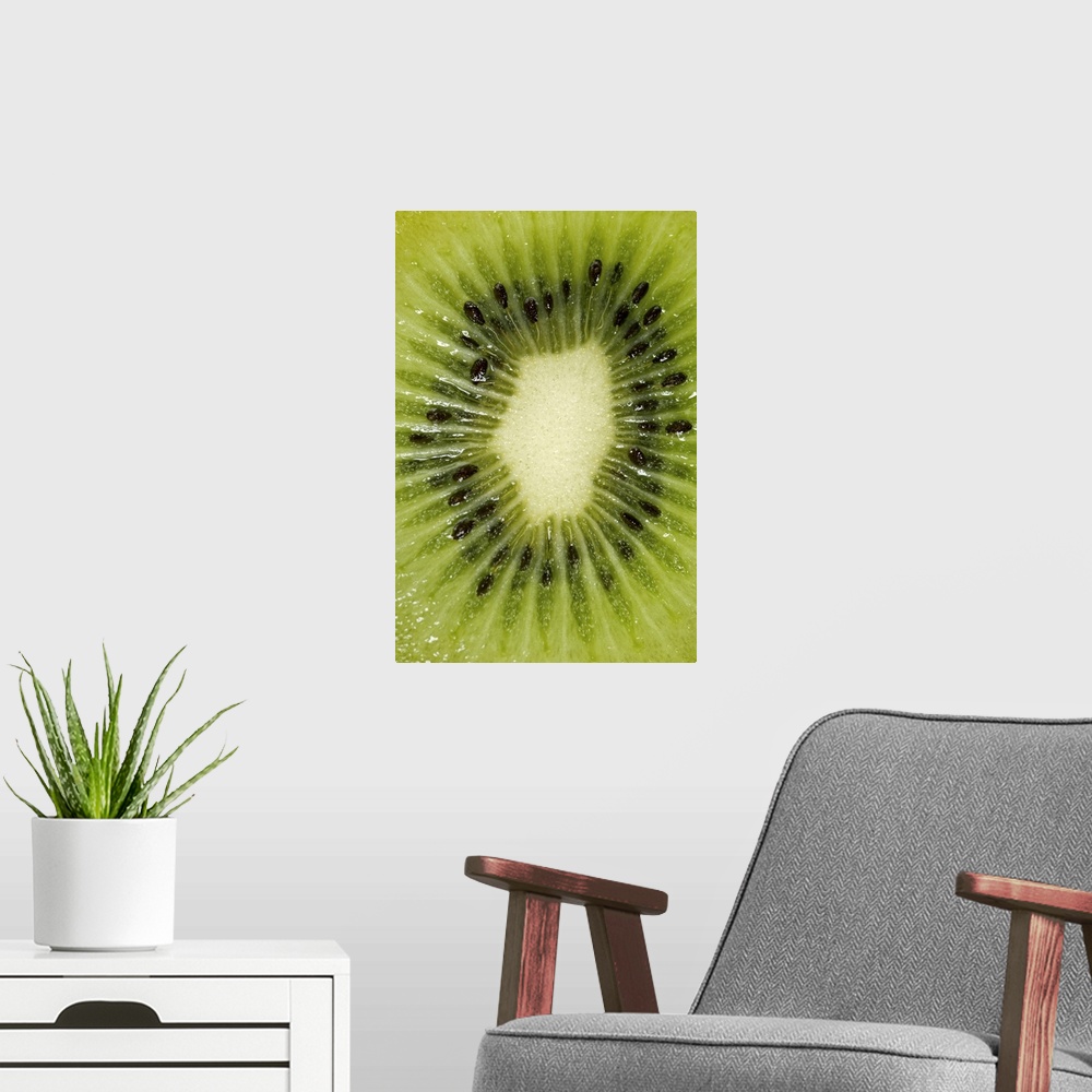 A modern room featuring Detail of a kiwi