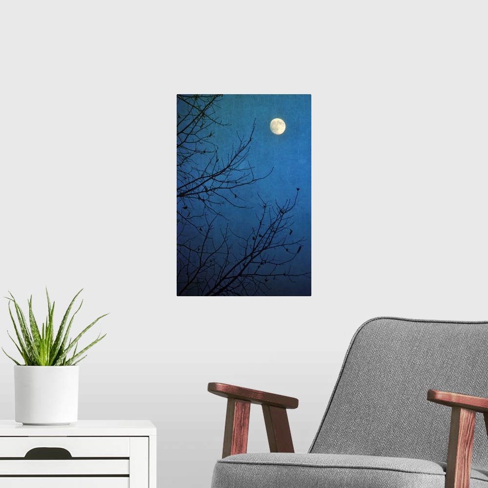 A modern room featuring Full moon in deep blue sky framed by bare branches in silhouette of leafless tree.