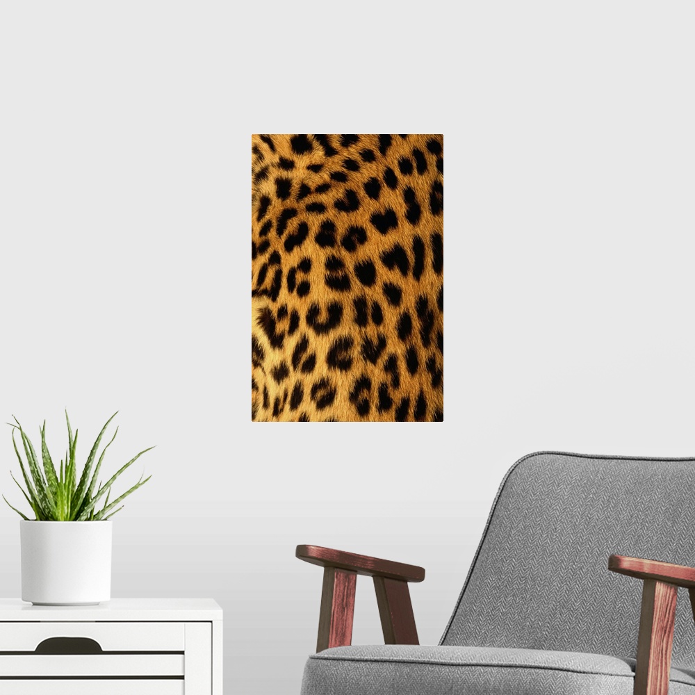 A modern room featuring Jaguar Fur