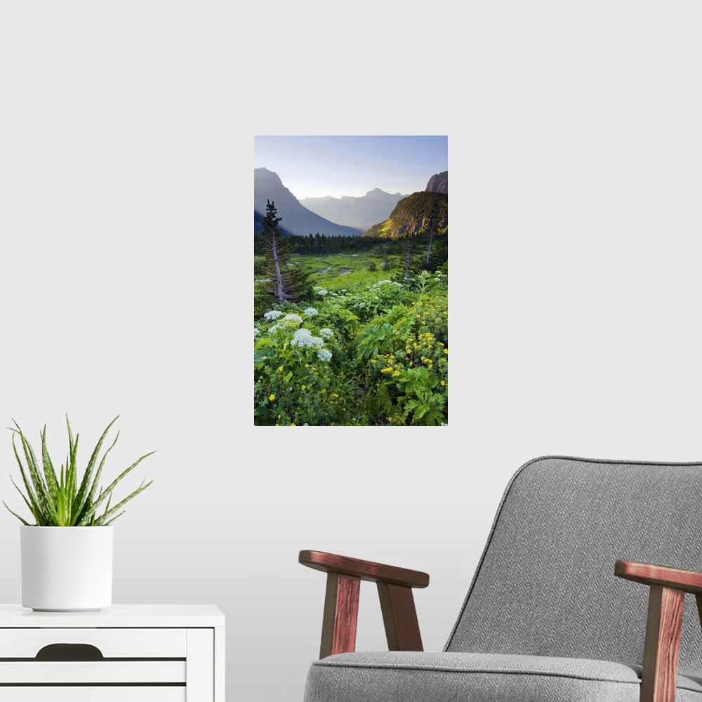 A modern room featuring Logan Pass at sunrise in Glacier National Park, Montana.