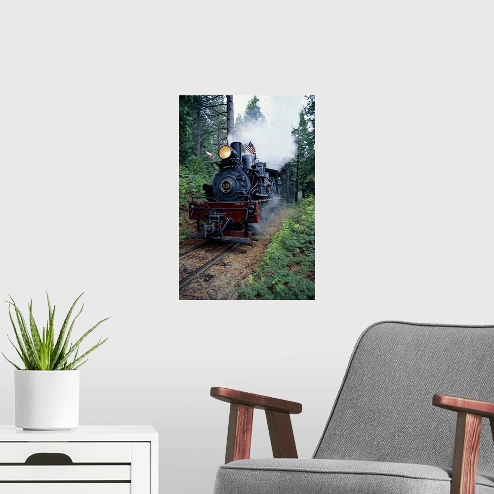 A modern room featuring Vertical panoramic photograph of vintage train blowing smoke and moving through a forest.
