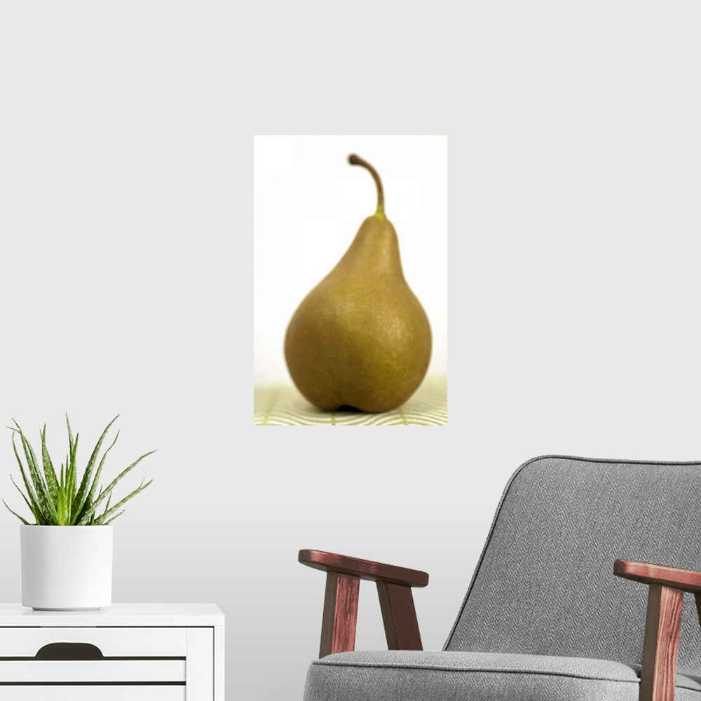 A modern room featuring Pear sitting on a mat