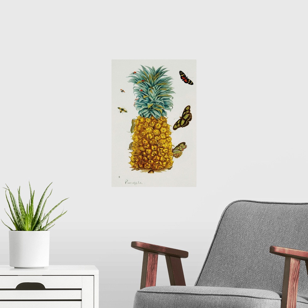A modern room featuring An illustration of a pineapple, crawling with insects, on a page from Das Kleine Buch der Tropicw...