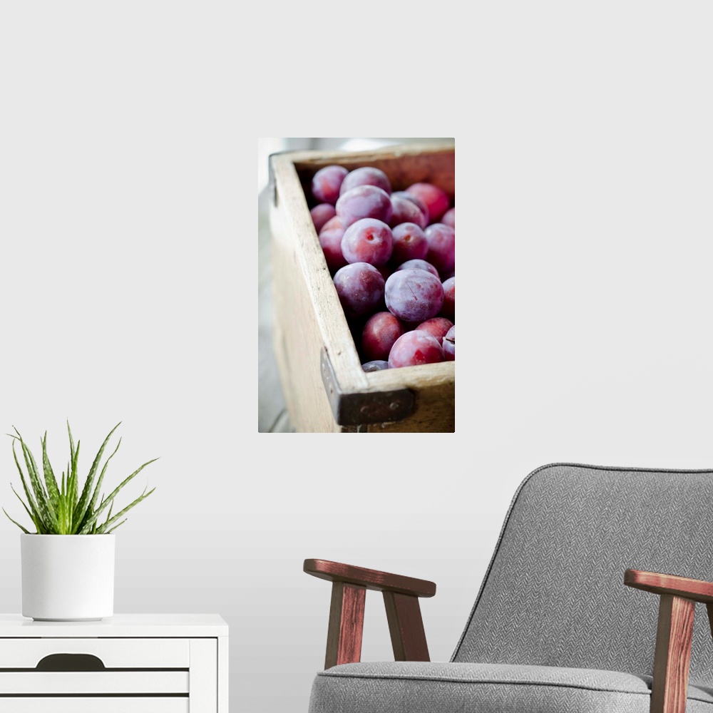 A modern room featuring Plums in wooden box.