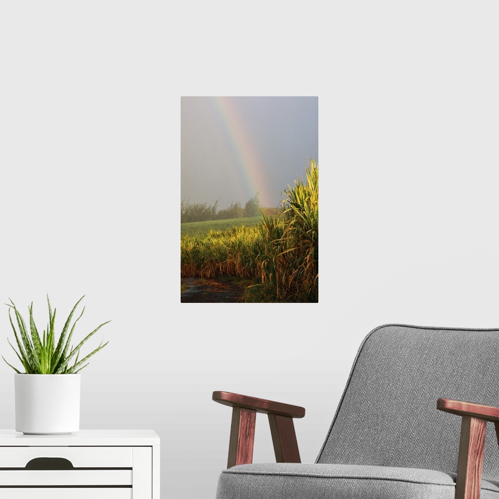 A modern room featuring Rainbow arching into field behind stream
