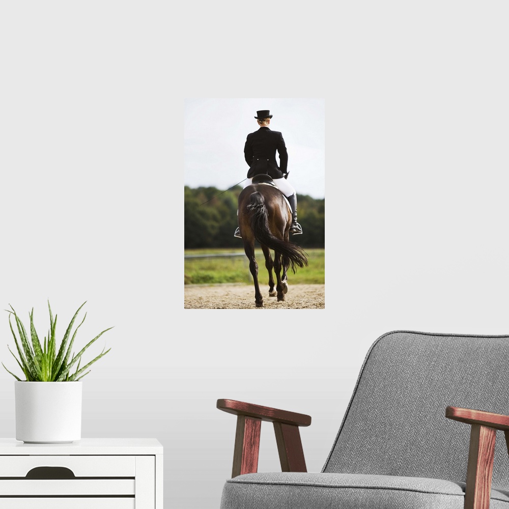 A modern room featuring Rear view of female dressage rider exercising