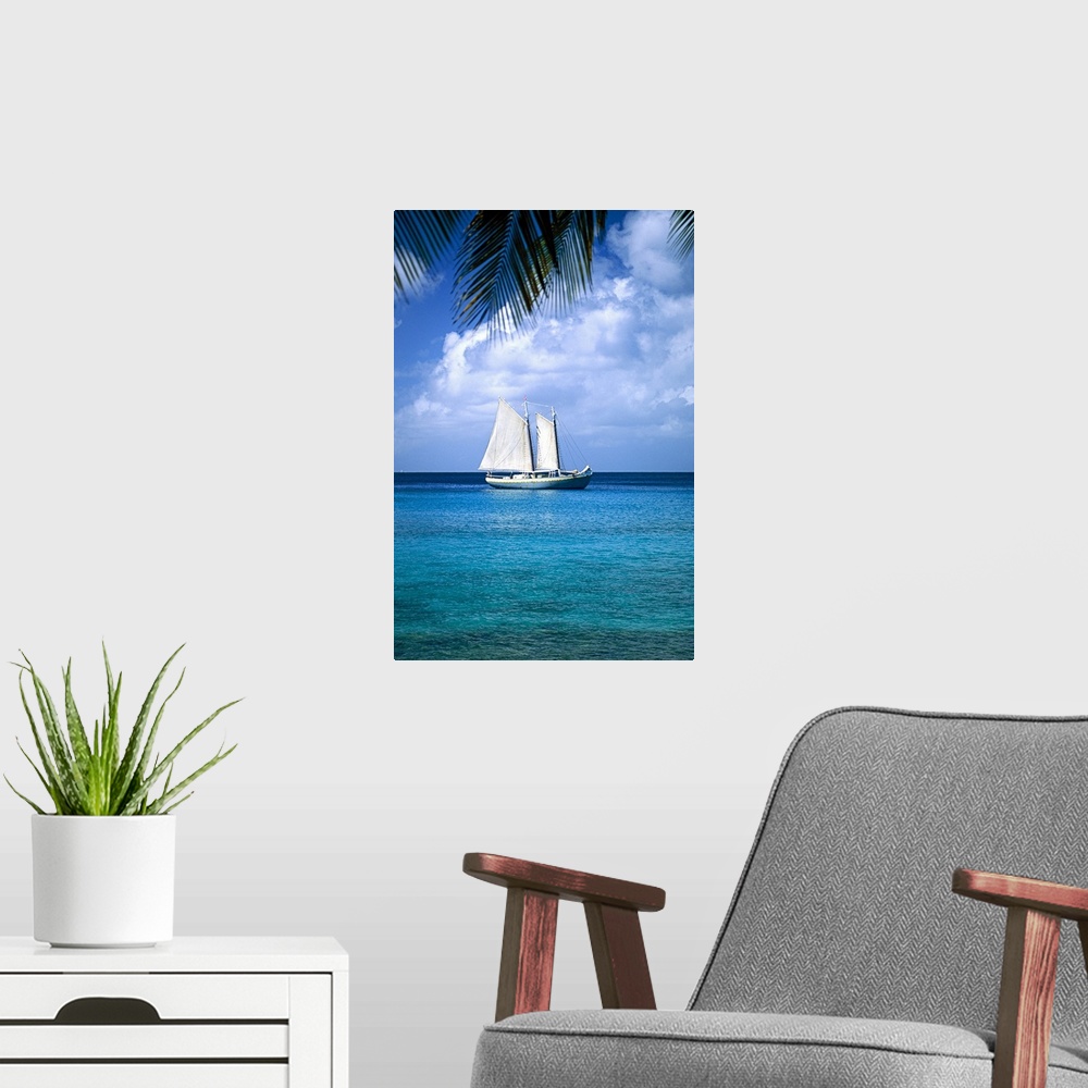A modern room featuring Sailboat in Mustique, Grenadines