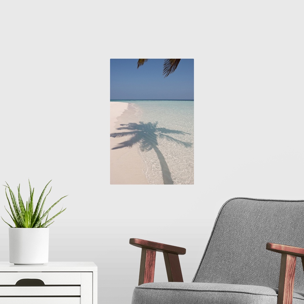A modern room featuring The shadow of a large palm tree is photographed as it's shown on the clear ocean water and white ...