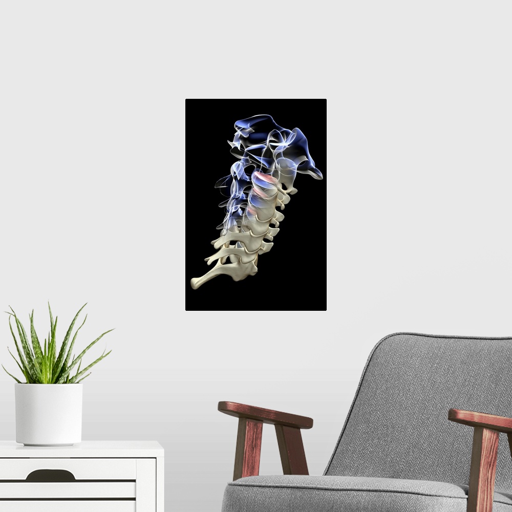 A modern room featuring The cervical vertebrae