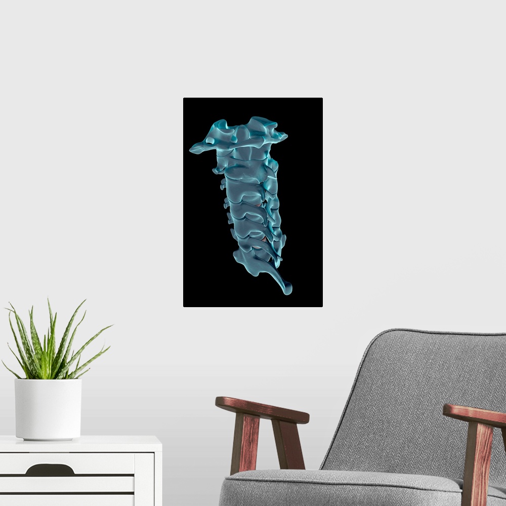 A modern room featuring The cervical vertebrae