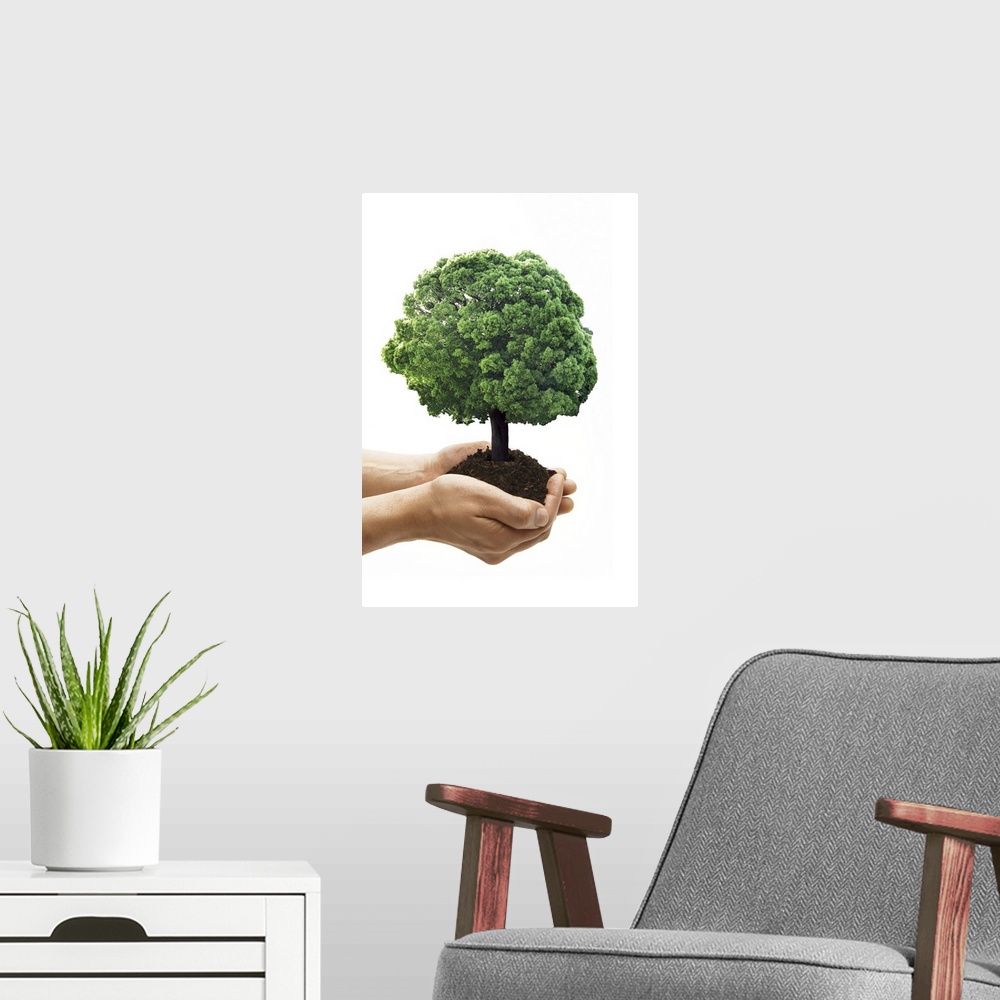 A modern room featuring Tree growing in protecting hands