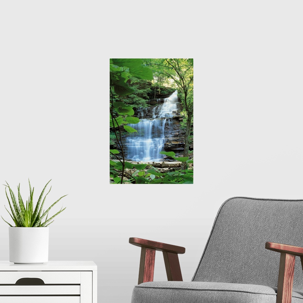 A modern room featuring Waterfall at Rickets Glen State Park , Pennsylvania