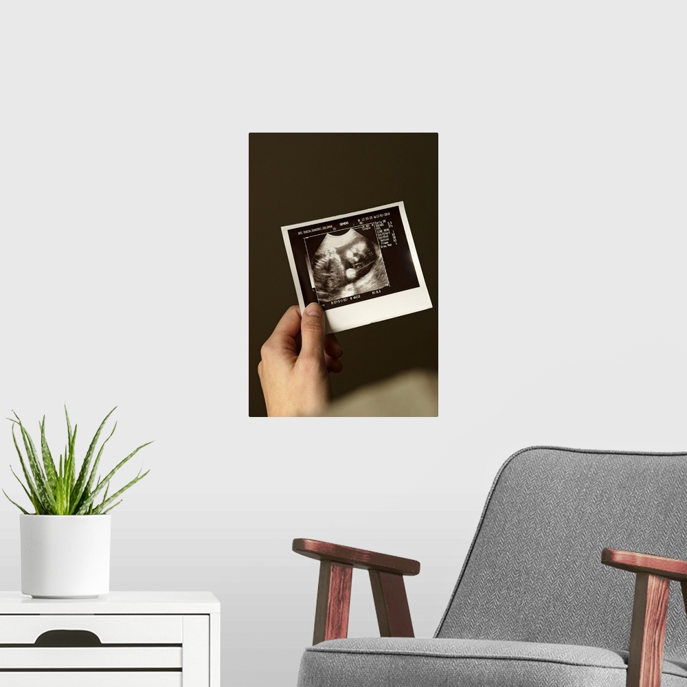 A modern room featuring Woman holding ultrasonograph photo of baby