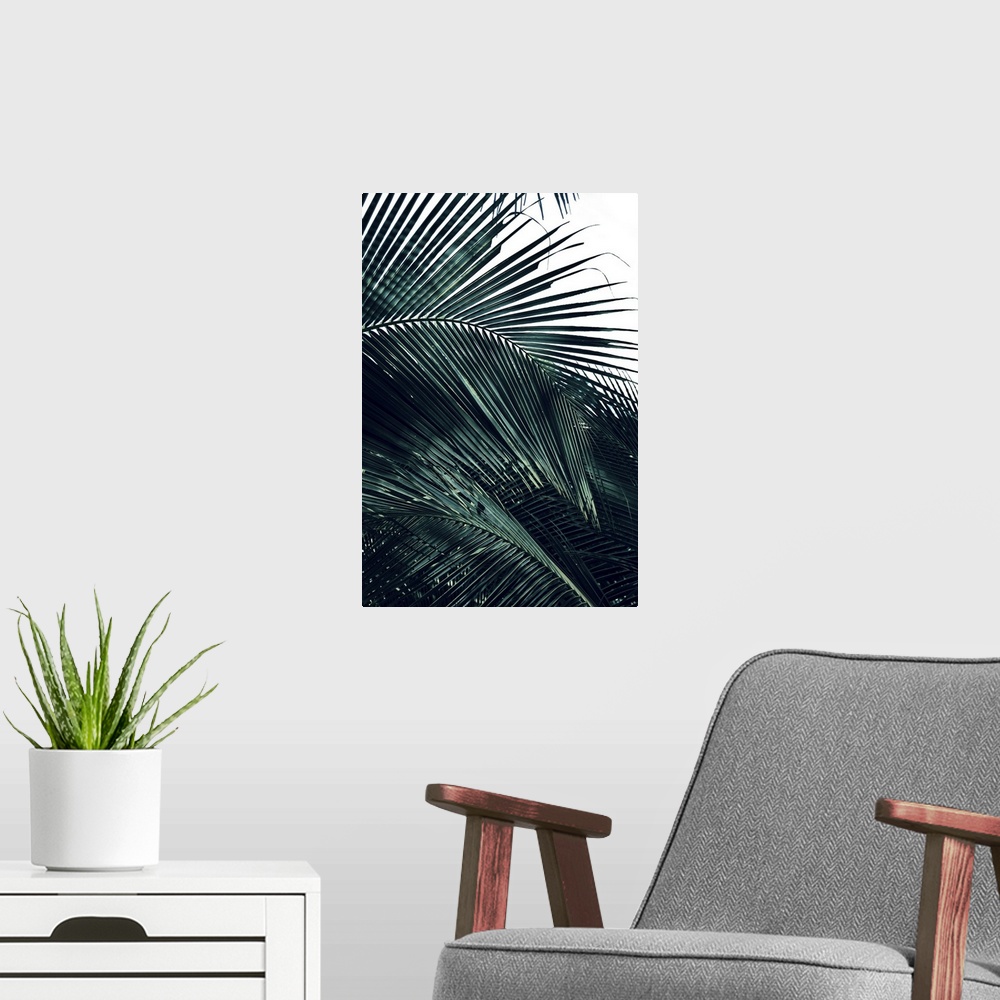 A modern room featuring Photograph of close up palm leaves, highlighting the texture, with a blown out background.