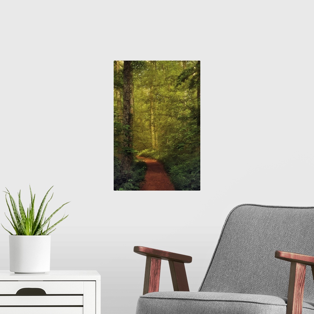 A modern room featuring A photograph of a forest in green foliage, with a red forest floor path cutting through it.