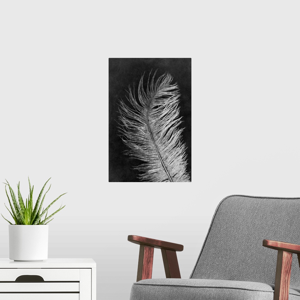A modern room featuring Feather 3 Dark