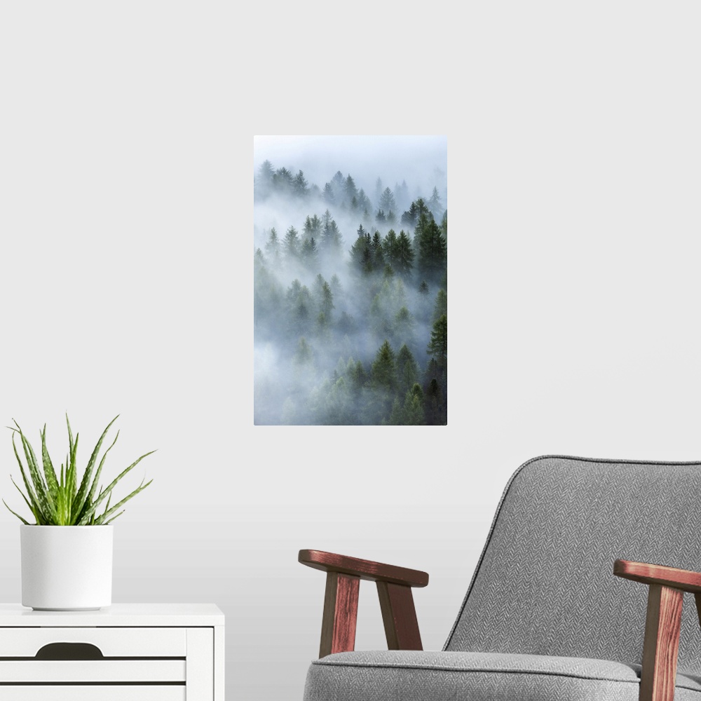 A modern room featuring As the fog started to lift, layers upon layers started to appear and reveal the forests below the...