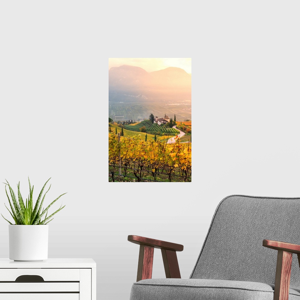 A modern room featuring Cortaccia On The Wine Route-Europe, Italy, Trentino Alto Adige, South Tyrol, Cortaccia, Bolzano P...
