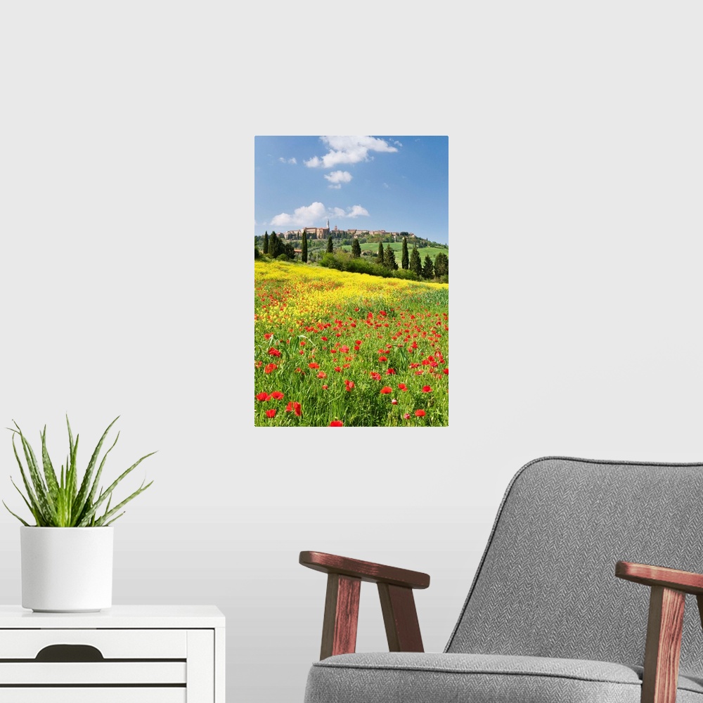 A modern room featuring Hill town Pienza and field of poppies, Tuscany, Italy