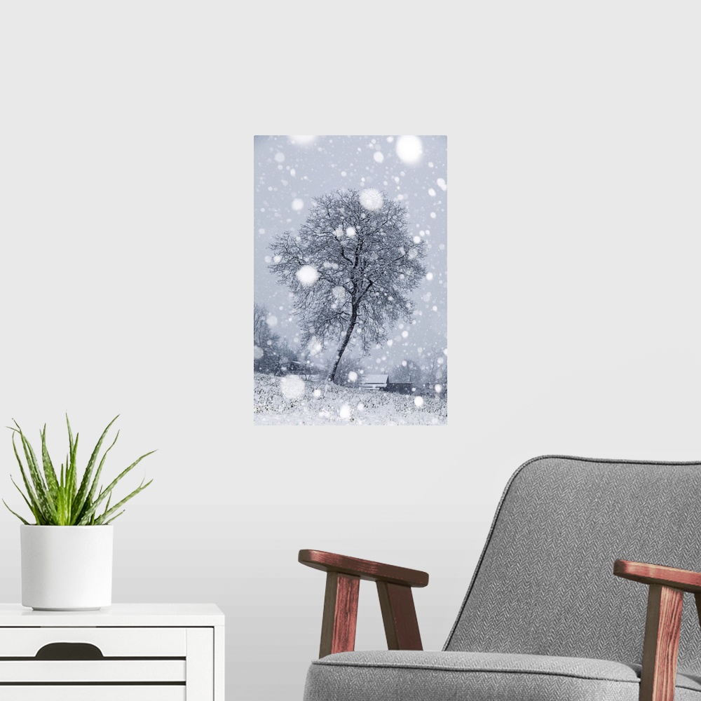 A modern room featuring Lonely bare tree under a snowfall, San Gregorio nelle Alpi, Belluno, Veneto, Italy
