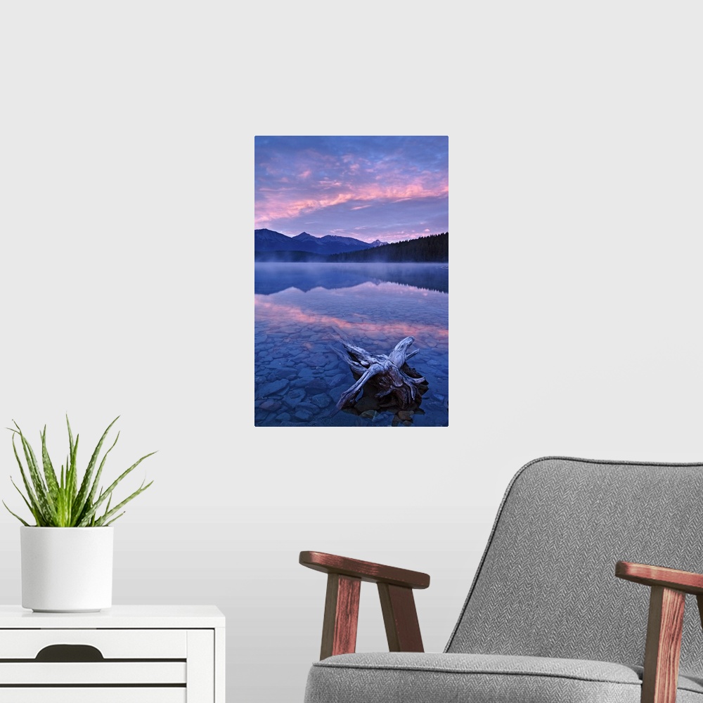 A modern room featuring drfitwood and pink clouds reflected in calm waters of Patricia Lake at dawn, Jasper National Park...