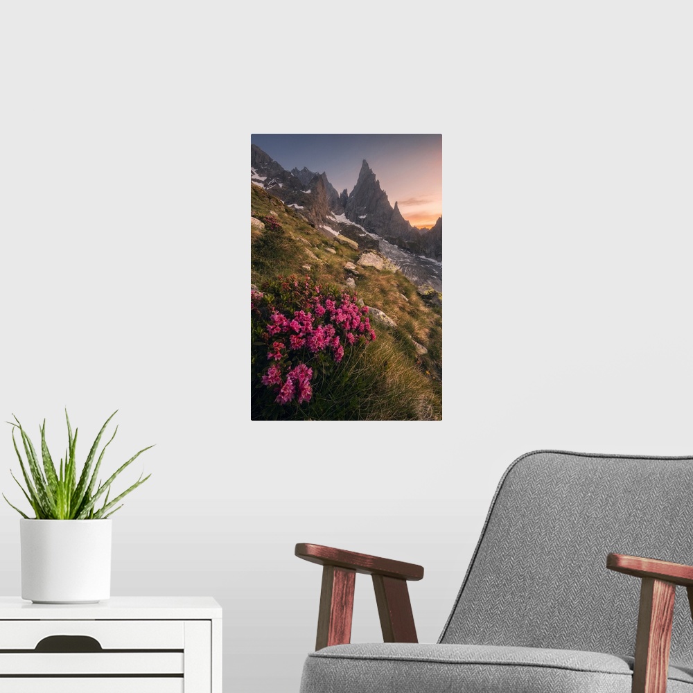 A modern room featuring Rhododendron Ferrugineum growing near Freney Glacier Italian alps.