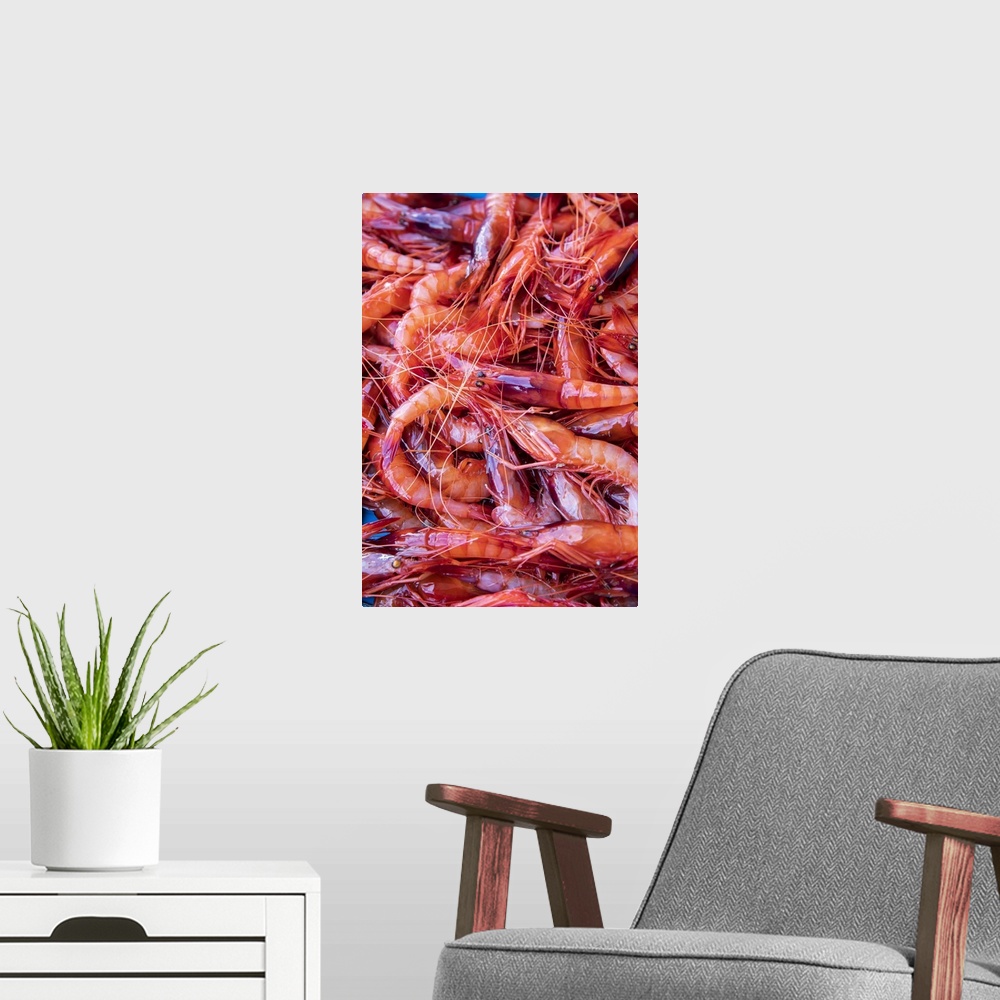 A modern room featuring Spagna, Costa Brava, Food Joan Roca. Tray of freshly caught red prawns destined for auction in th...