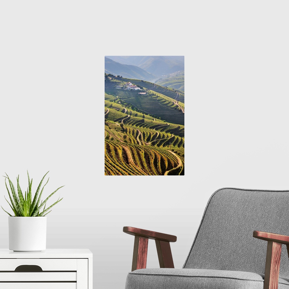A modern room featuring Terraced vineyards in the Douro region, a Unesco World heritage site. Portugal