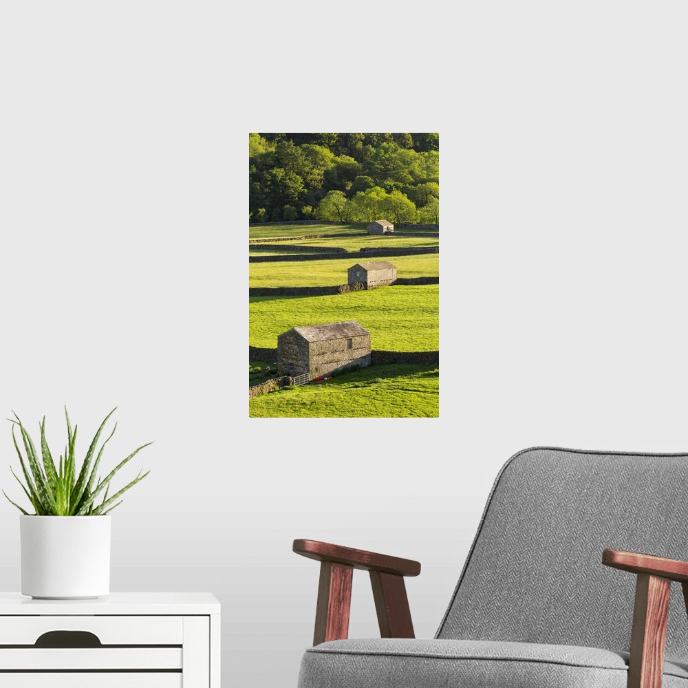 A modern room featuring United Kingdom, England, North Yorkshire, Gunnerside. Traditional barns in Swaledale.