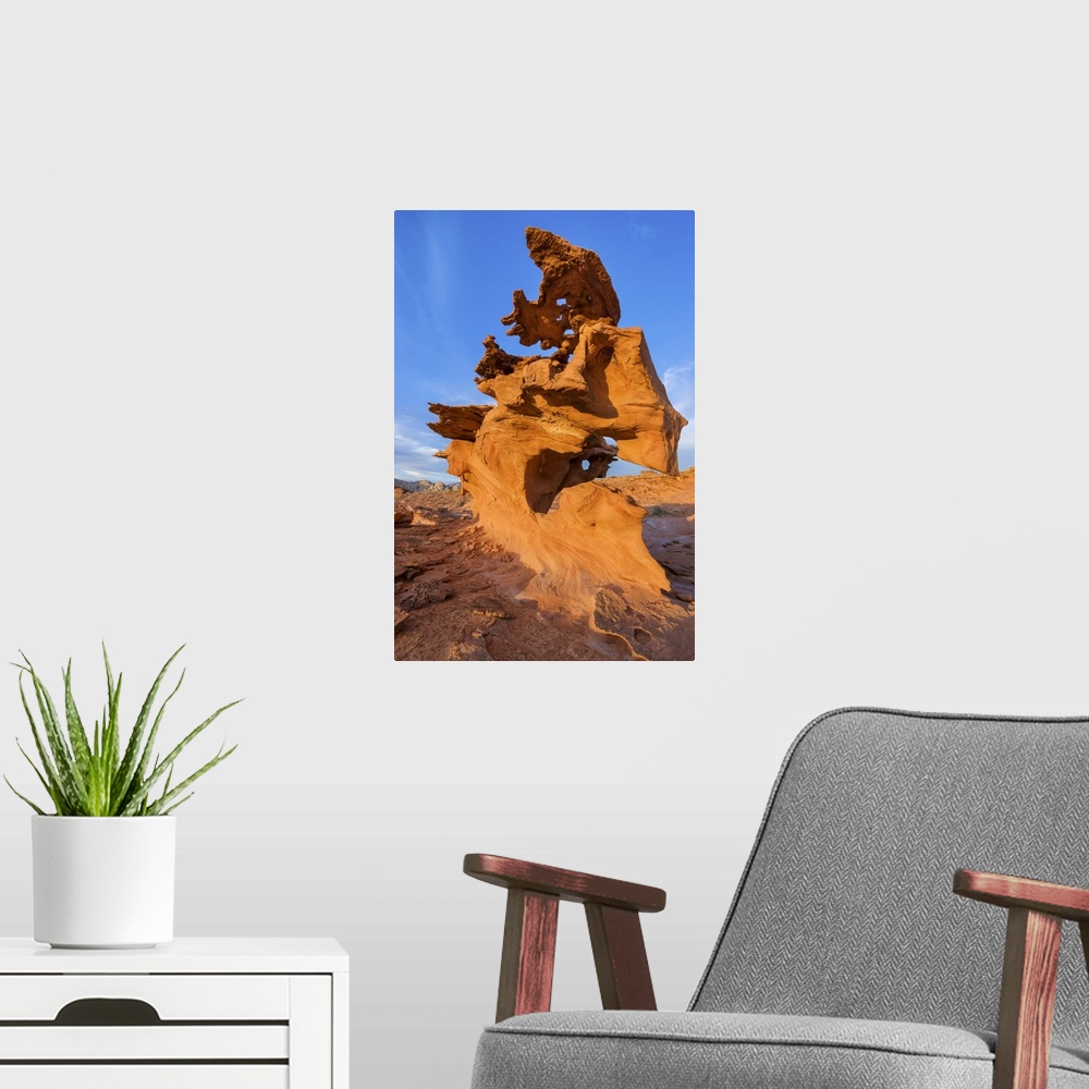 A modern room featuring USA, Nevada, Mojave Desert, Gold Butte National Monument, Little Finland.