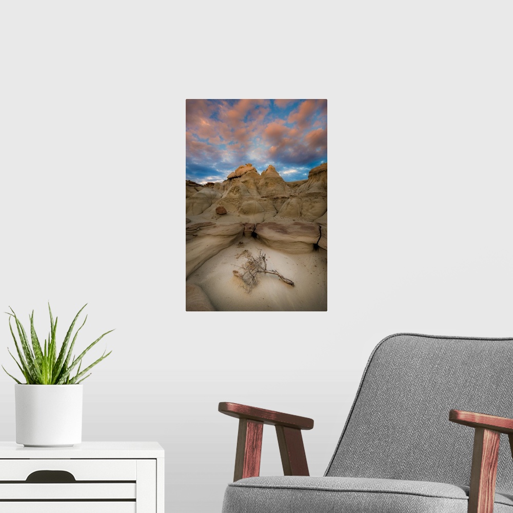 A modern room featuring A Lone Branch In New Mexico's Bisti Badlands, Bisti Badlands