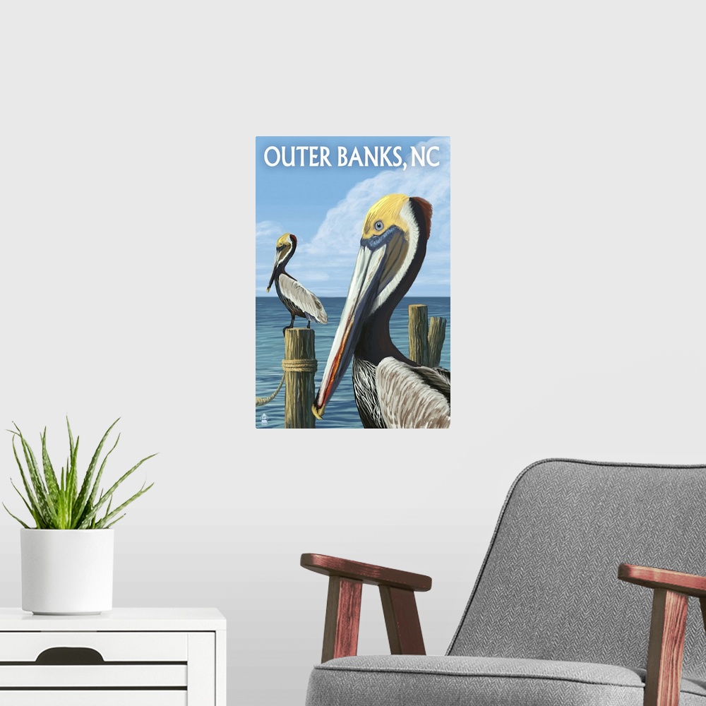 A modern room featuring Brown Pelicans, Outer Banks, North Carolina