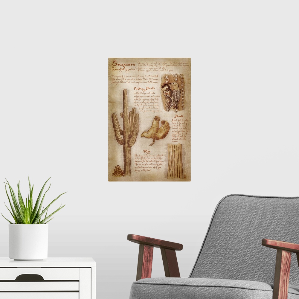 A modern room featuring Saguaro Cactus, da Vinci Style