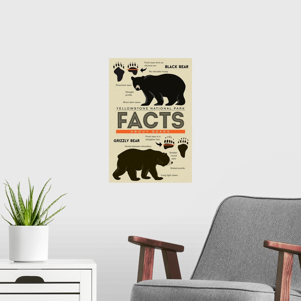 A modern room featuring Yellowstone National Park, Wyoming - Facts About Bears - Grizzly & Black Bear