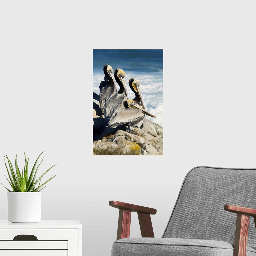 A modern room featuring Four pelicans with striking eyes of different colors rest above the waves in Pebble Beach, Califo...