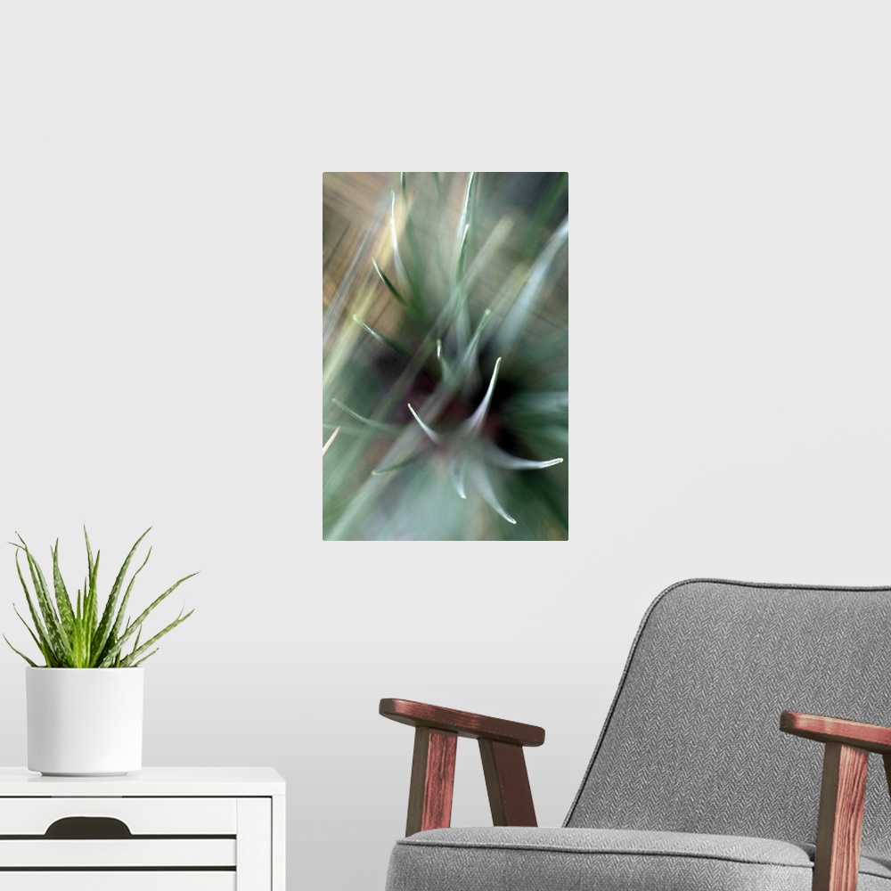 A modern room featuring Large, close up, vertical photograph of cactus spines with blurred lines of light moving through ...