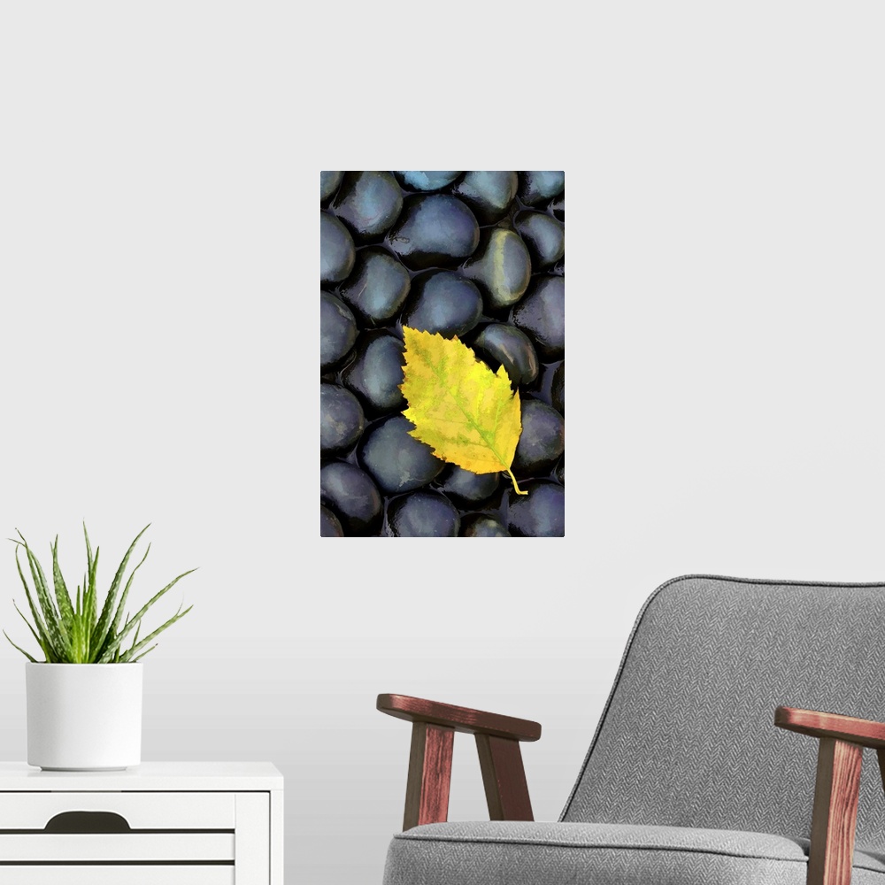 A modern room featuring Macro photo of a single yellow leaf resting on round black stones.