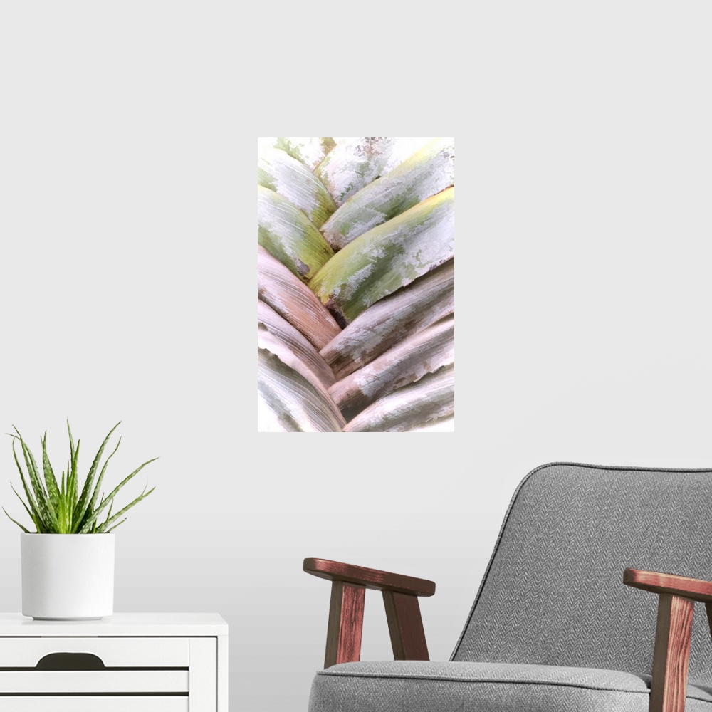 A modern room featuring Palm Abstract