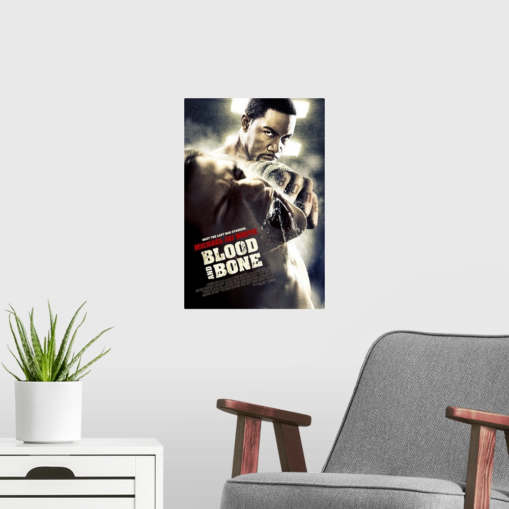 A modern room featuring Blood and Bone - Movie Poster
