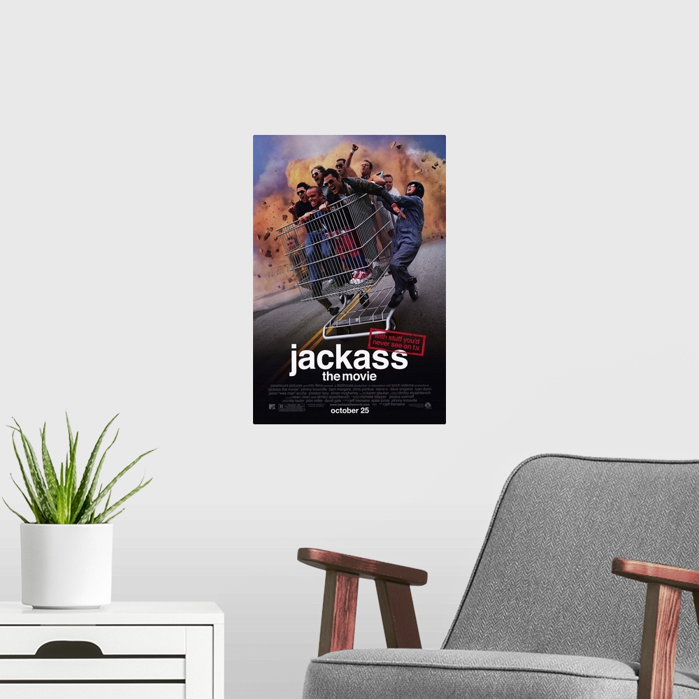 A modern room featuring Jackass: The Movie (2002)