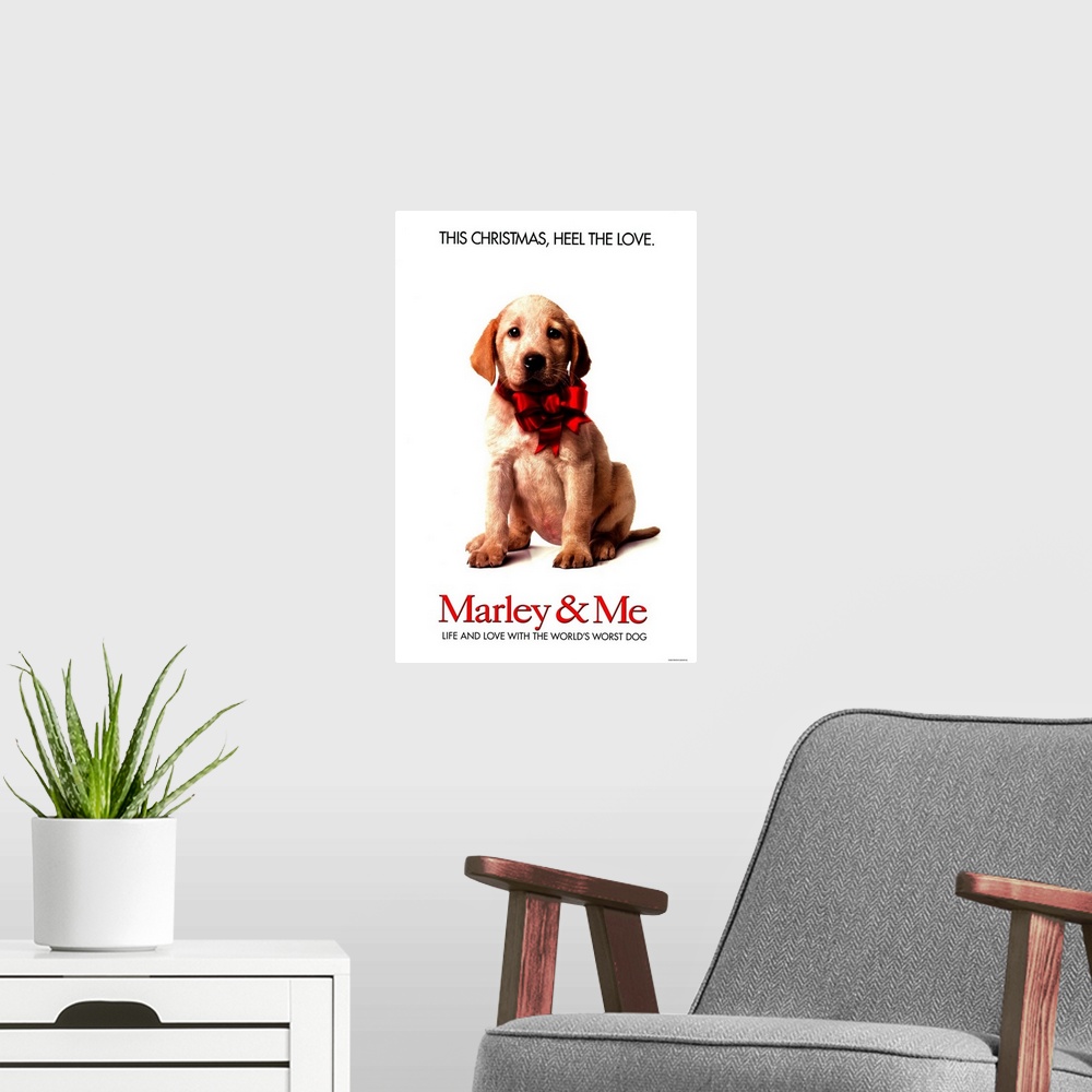 A modern room featuring A family learns important life lessons from their adorable, but naughty and neurotic dog.