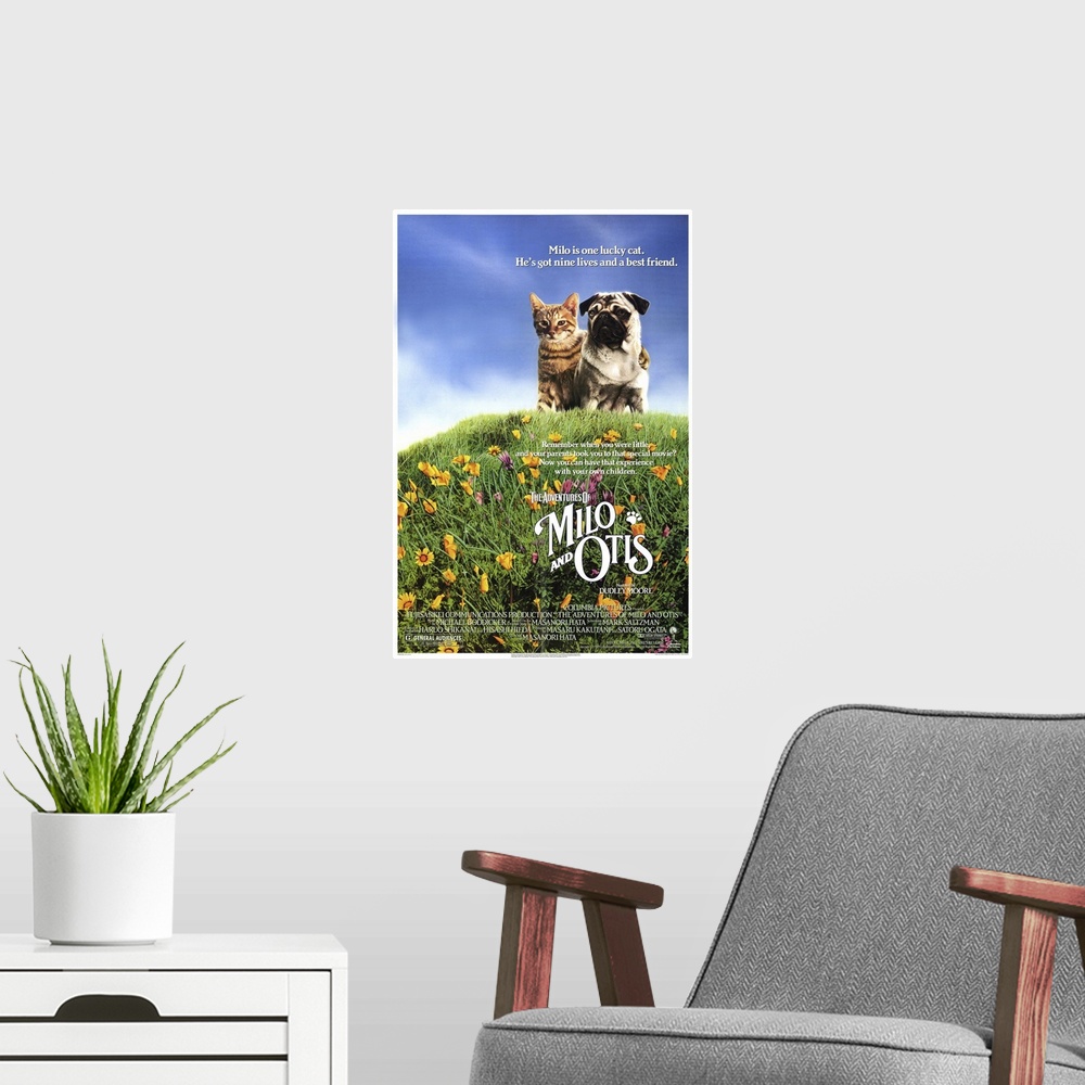 A modern room featuring Charming tale of a kitten named Milo and his best friend, a puppy named Otis. The two live on a f...